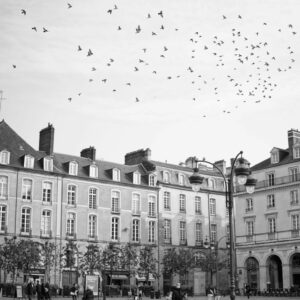 Le murmure des toits